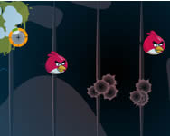 Angry Birds - Angry Bird shot
