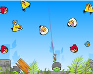 Angry Birds - Angry Pig